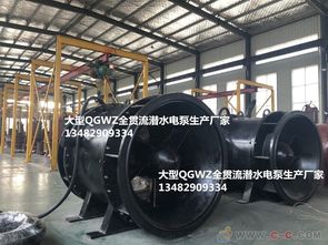 廣東10kv高壓全貫流潛水泵qgwz