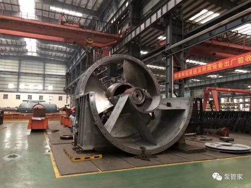 大大大大大泵, 能做到多大