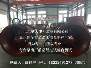 探索流體世界的隱秘力量 潛水貫流泵、全貫流閘門泵、燈泡泵與臥式全貫流泵技術解析